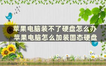 苹果电脑装不了硬盘怎么办 苹果电脑怎么加装固态硬盘